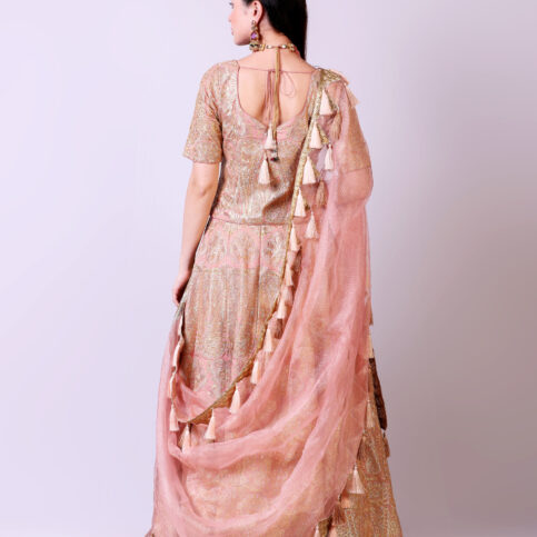 Embroidered Bridal Lehenga Set