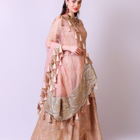 Embroidered Bridal Lehenga Set