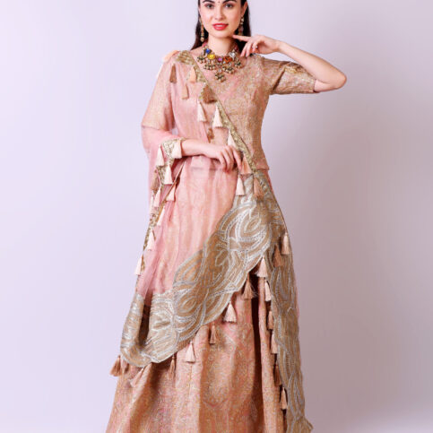 Embroidered Bridal Lehenga Set
