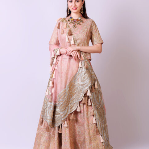 Embroidered Bridal Lehenga Set