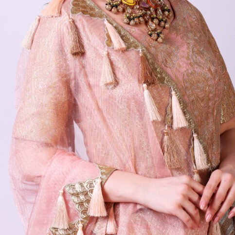 Embroidered Bridal Lehenga Set