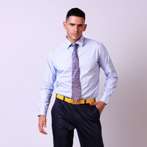 Mens Dart Collar Shirt